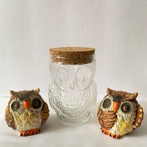 Charming Owl Glass Apothecary Jar with Cork Lid and Two Figurines